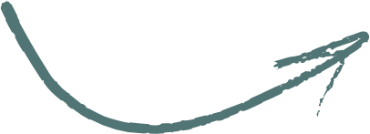 background logo